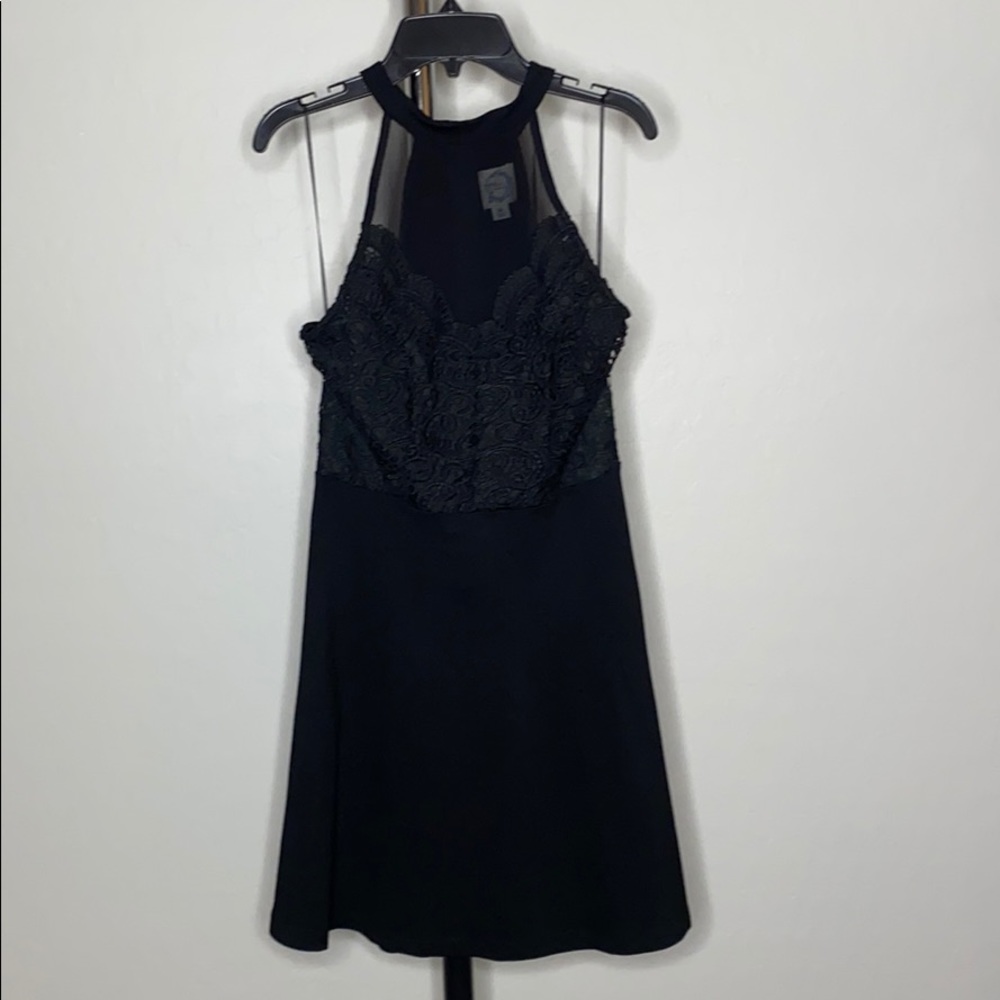 Francesca’s Willamina Black Lace Dress